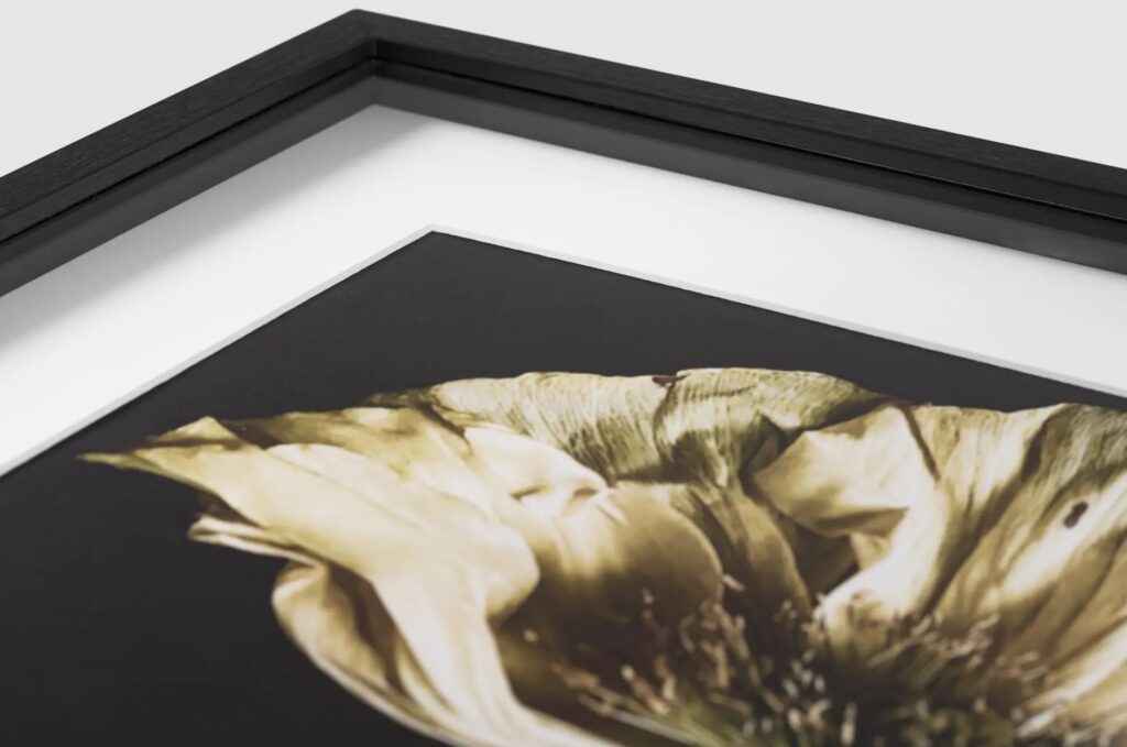 Galeria Flora 8