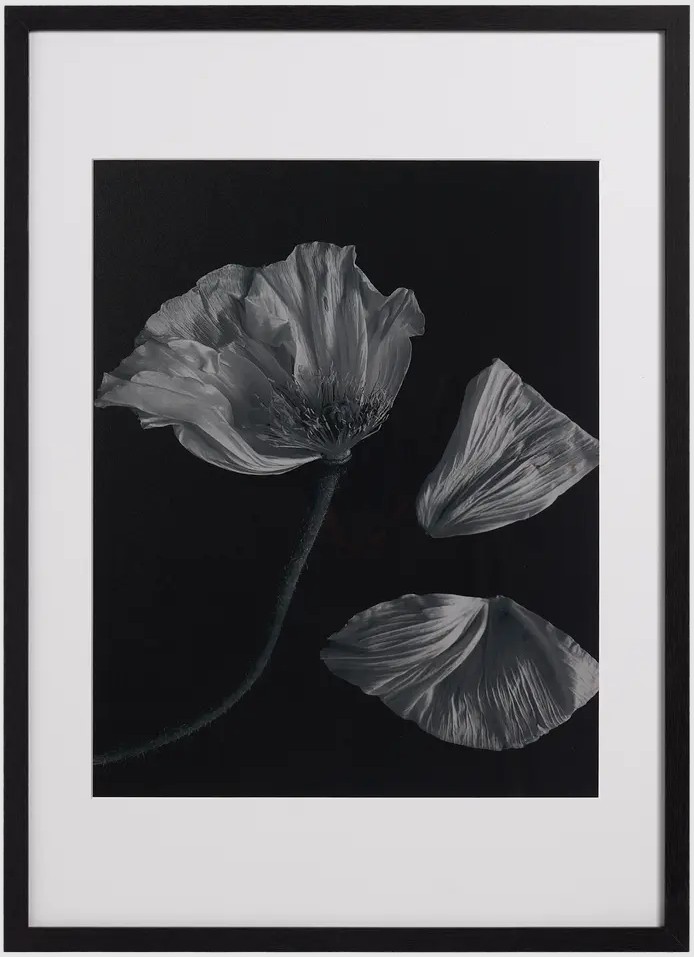 Obraz Flora 2